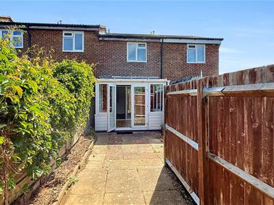 Picture 3